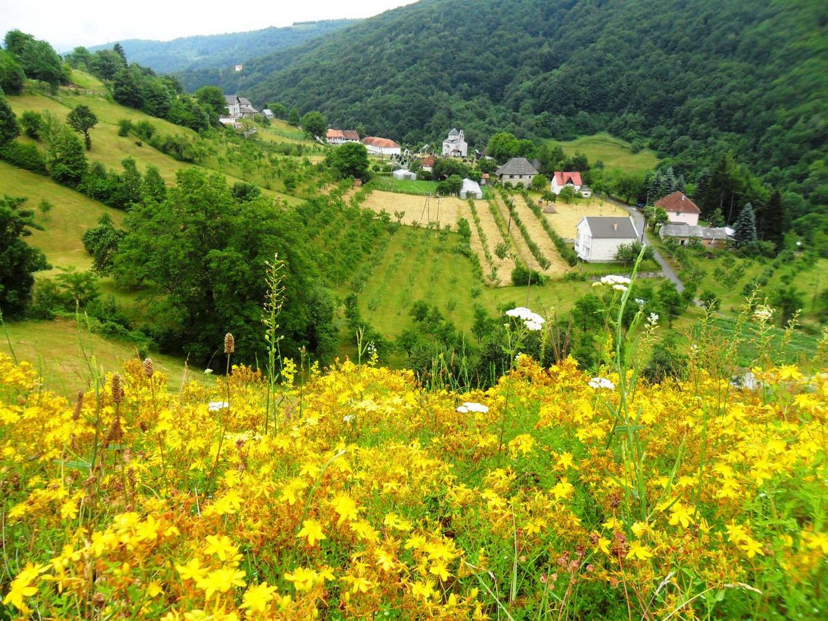 Kraljska Koliba - Kralje'S Cottage แอนดริเจวิกา ภายนอก รูปภาพ