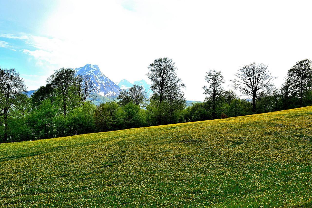 Kraljska Koliba - Kralje'S Cottage แอนดริเจวิกา ภายนอก รูปภาพ