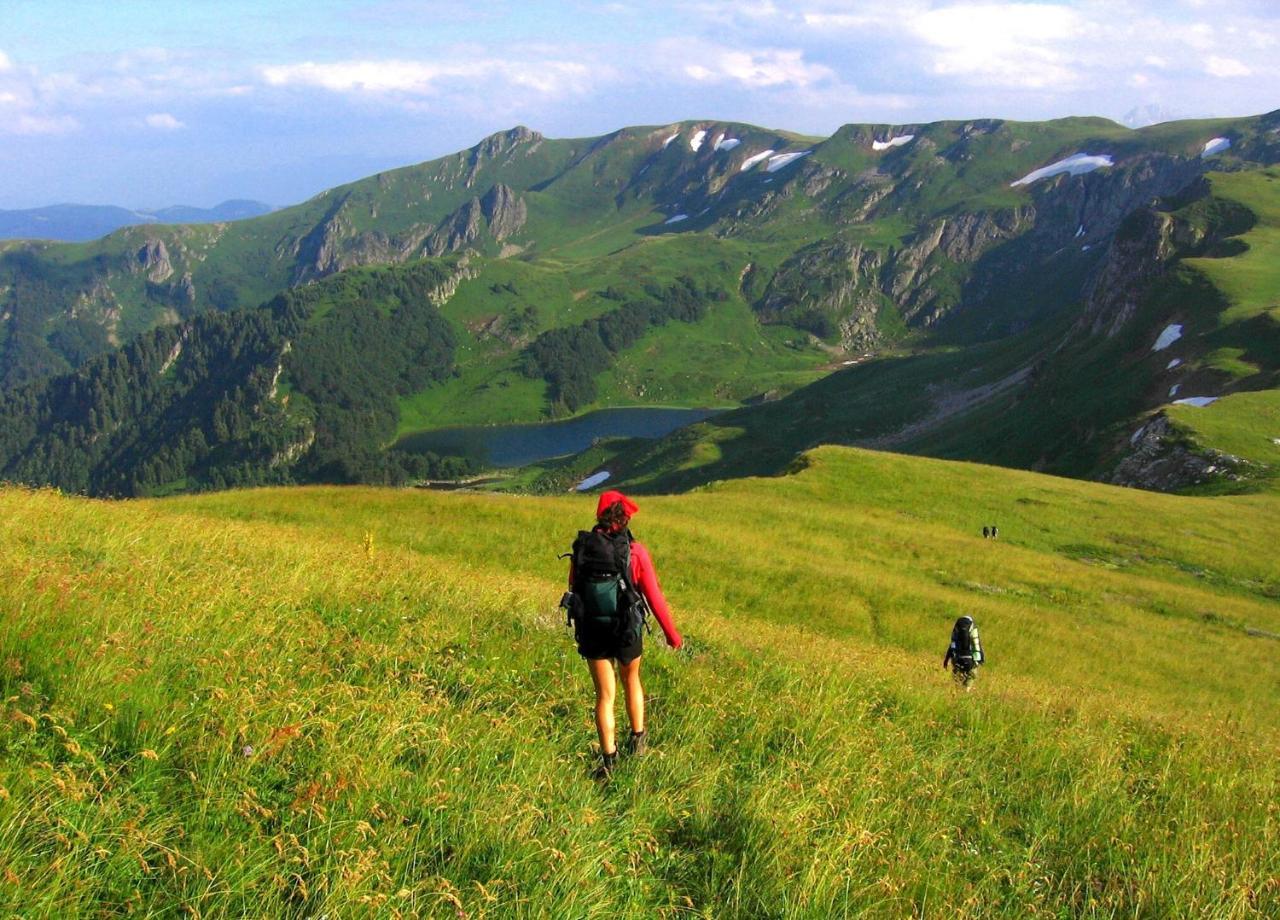 Kraljska Koliba - Kralje'S Cottage แอนดริเจวิกา ภายนอก รูปภาพ